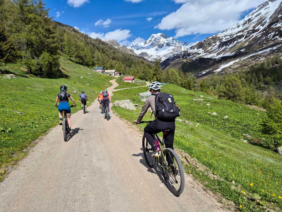 Enjoying the nature on mountain bikes.