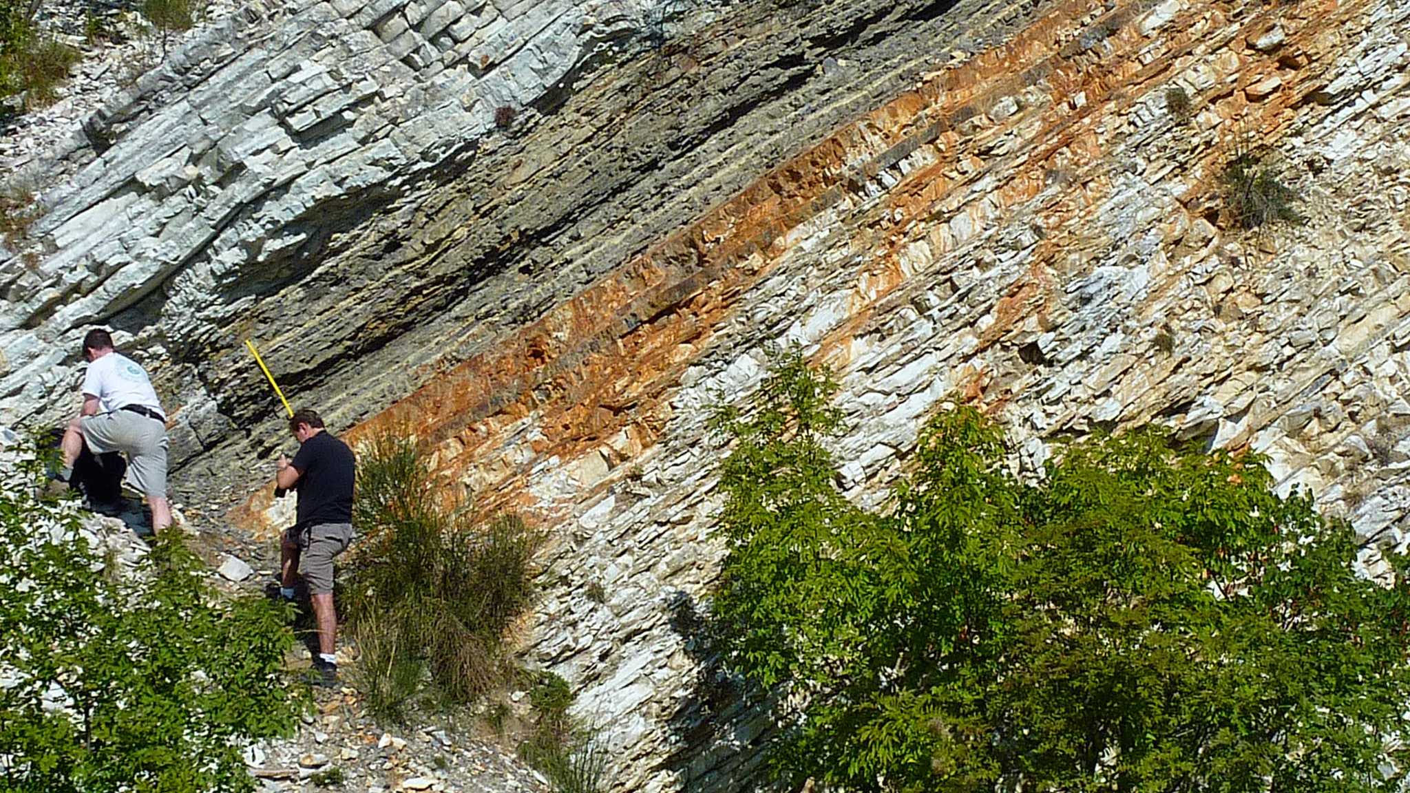 Earth Surface Geochemistry