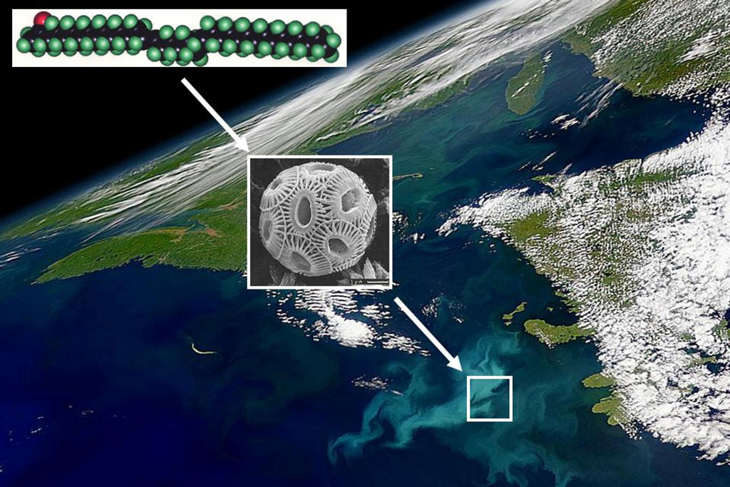 Enlarged view: Phytoplankton bloom off Newfoundland