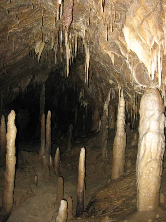 Climate geology
