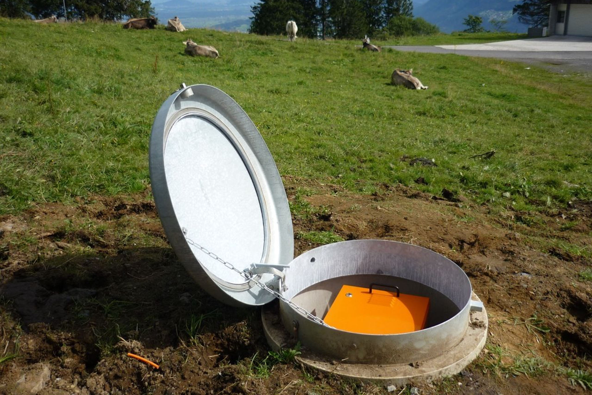 Vergrösserte Ansicht: Station des Starkbebennetzwerk bei Buchs, Buchserberg