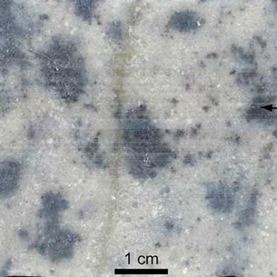 Lead (Pb) mineralization