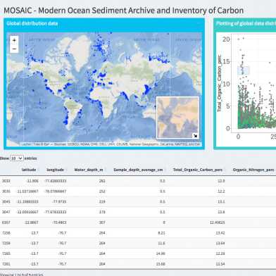 Screenshot der MOSAIC Website