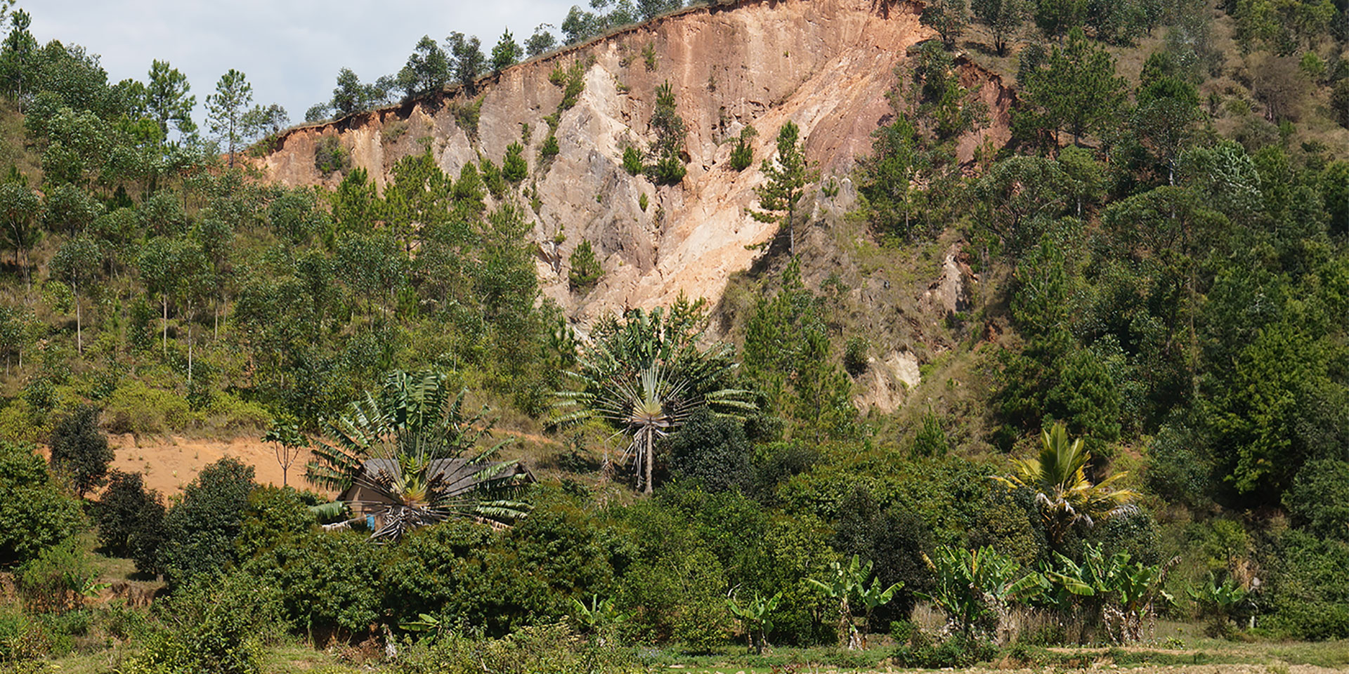 Alaotra-Mangoro